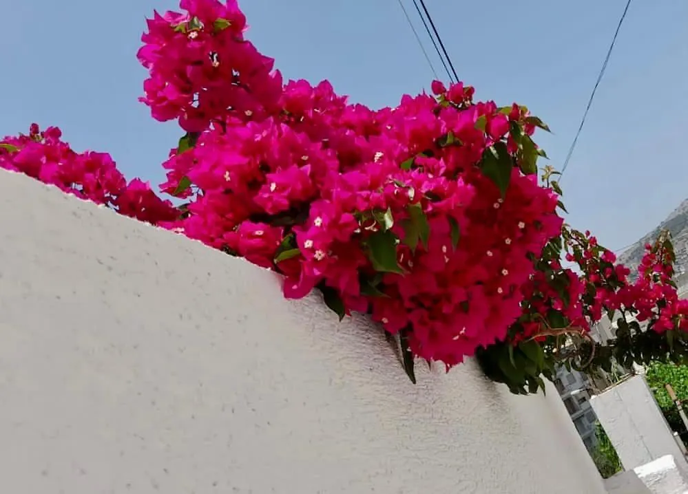 Ona Apartament Villa Sarande Albania